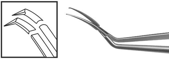 TMF101 Inamura Capsulorhexis Forceps Curved w/Marks, 1.8mm Incision, Stainless Steel - Titan Medical Instruments