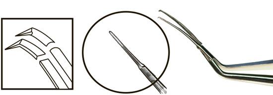 TMF184 Inamura 1.5 Cross Action Capsulorhexis Forceps Curved w/Marks - Titan Medical Instruments